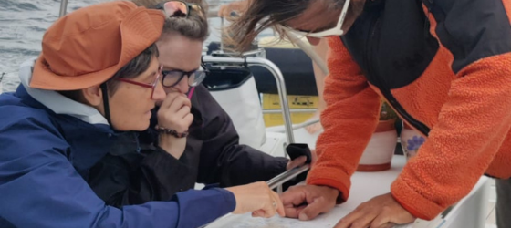 La demi-transatlantique retour : une aventure de haute mer