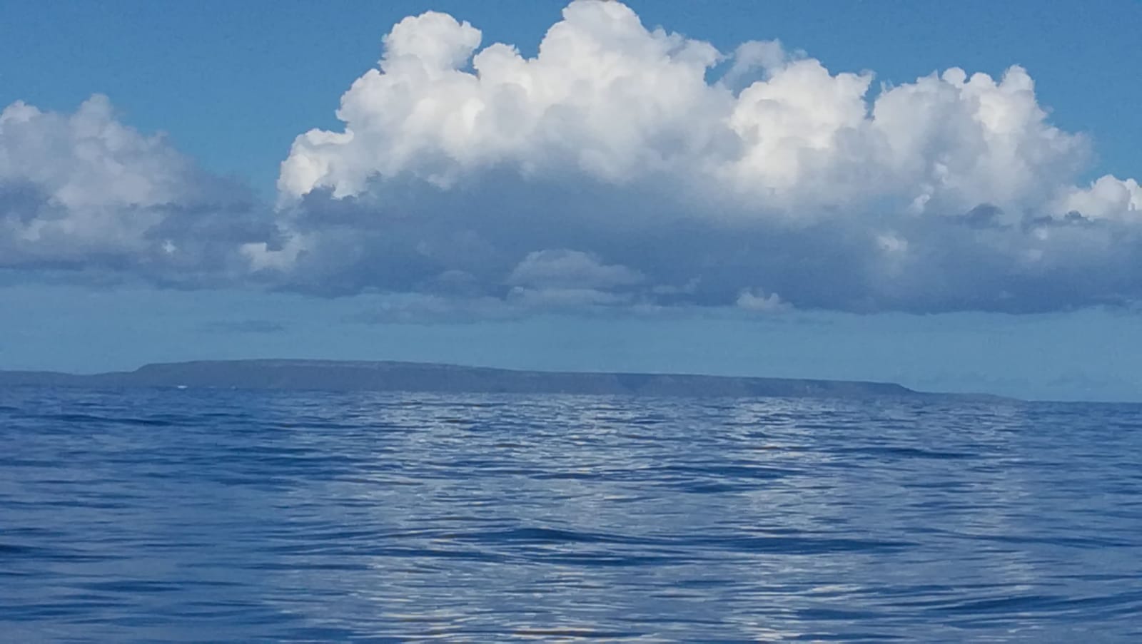 Vivez une expédition transatlantique à la voile