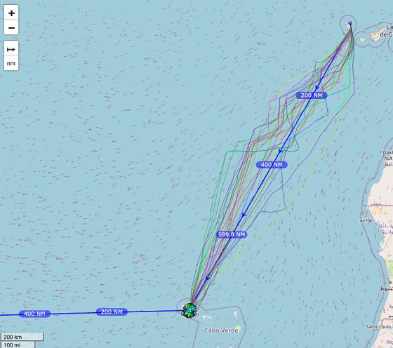 Vivez le Rallye des Îles du Soleil en tant qu'équipier(e)