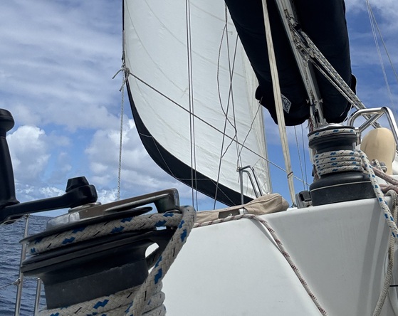 Yann, votre moniteur de voile passionné et sympathique !