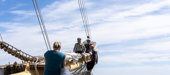 Participation aux manoeuvres