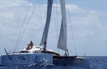 Transatlantique retour voile de Saint Martin vers les Açores