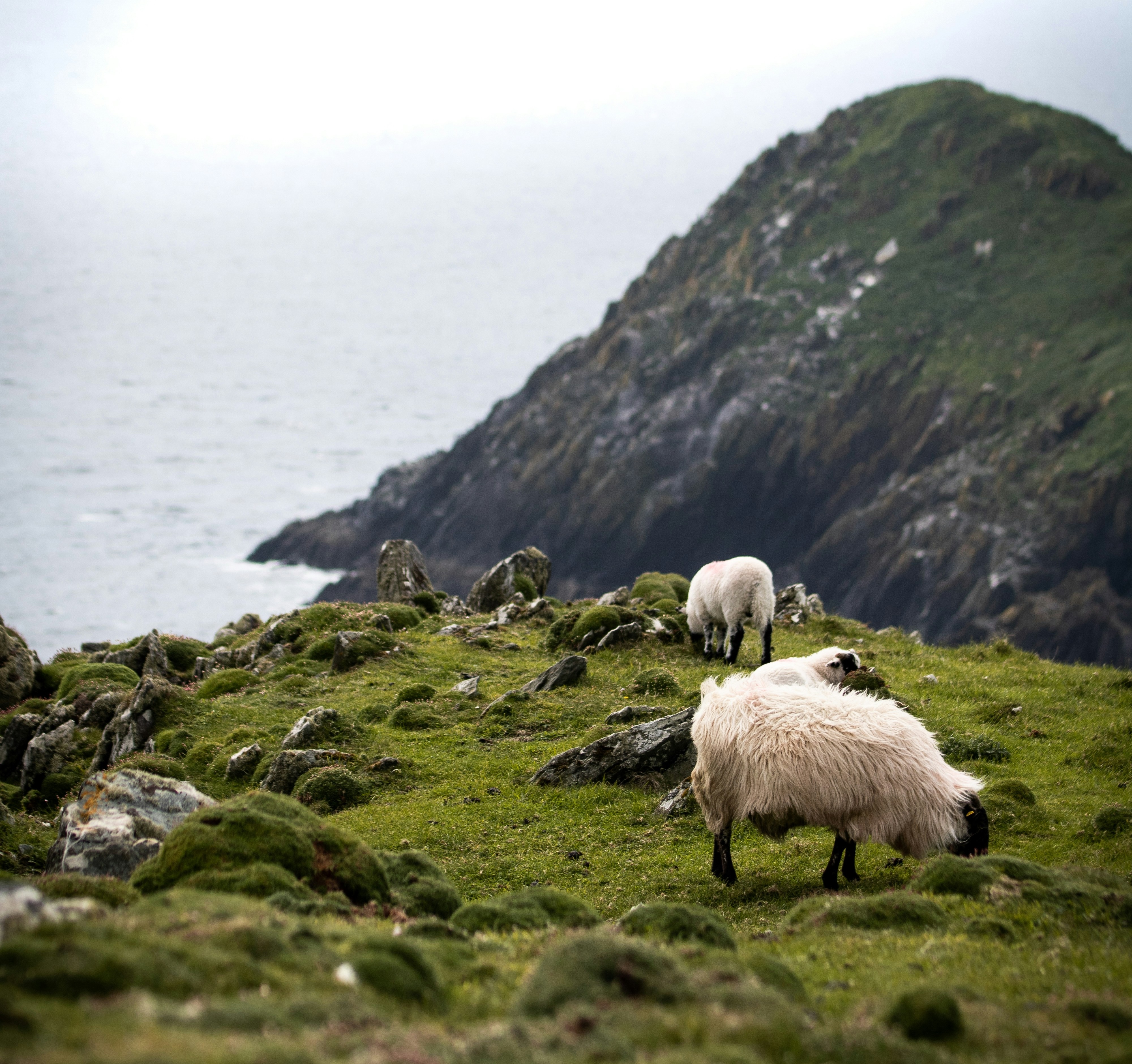 Photo de la destination 3